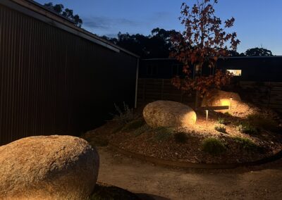 Somerville Garden Transformed: 100+ Lights on Existing Infrastructure