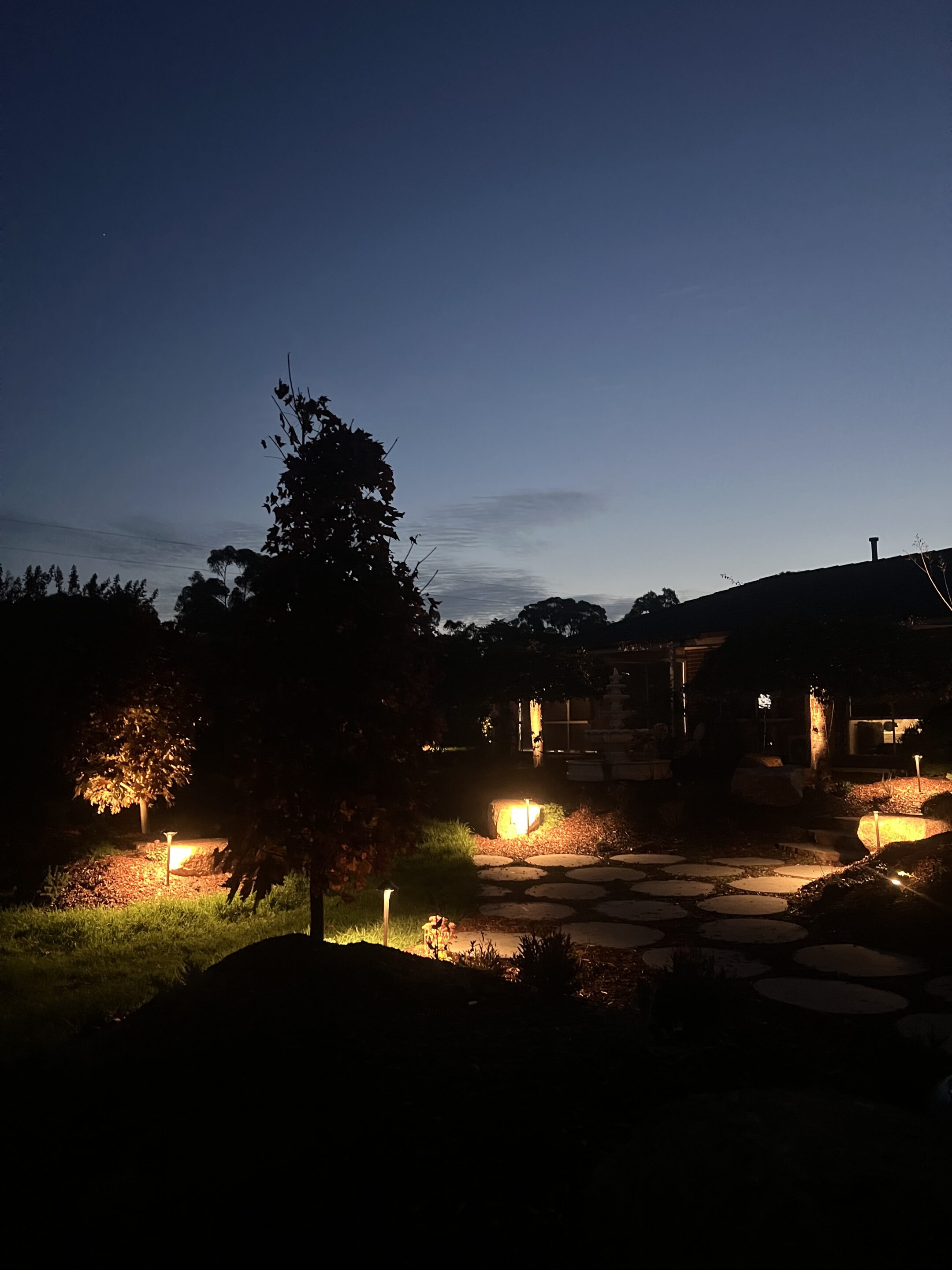 Somerville Garden Transformed: 100+ Lights on Existing Infrastructure — installation detail