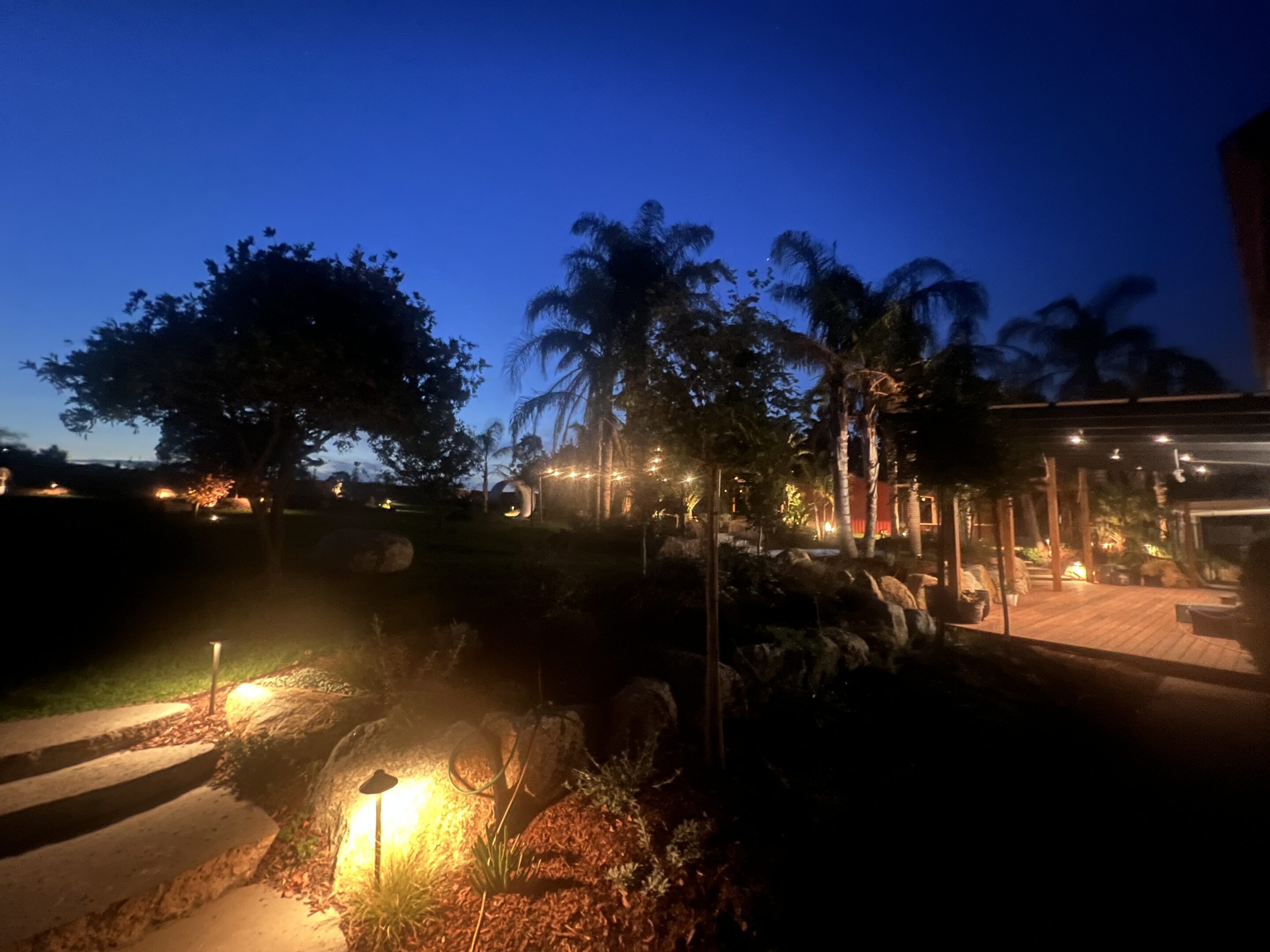 Somerville Garden Transformed: 100+ Lights on Existing Infrastructure — PIXIE installation