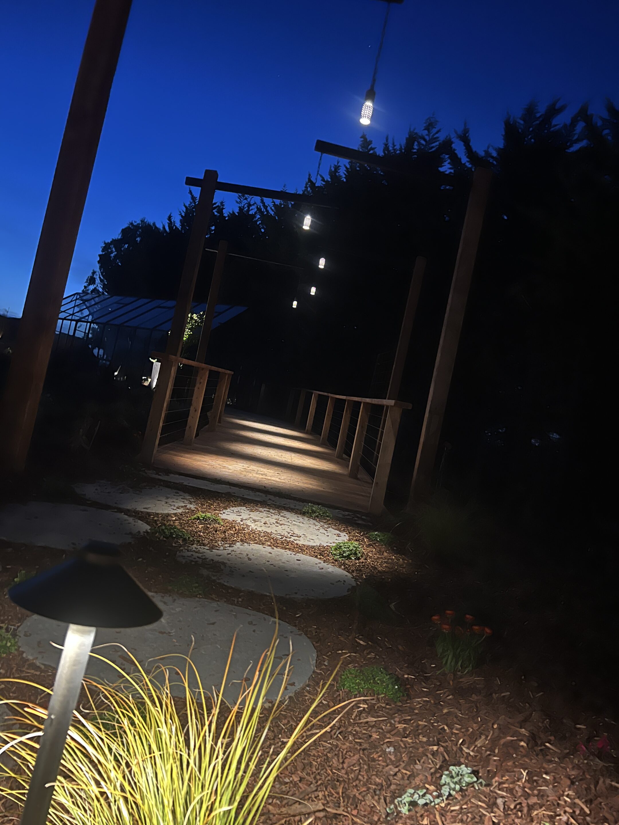 Somerville Garden Transformed: 100+ Lights on Existing Infrastructure — project detail
