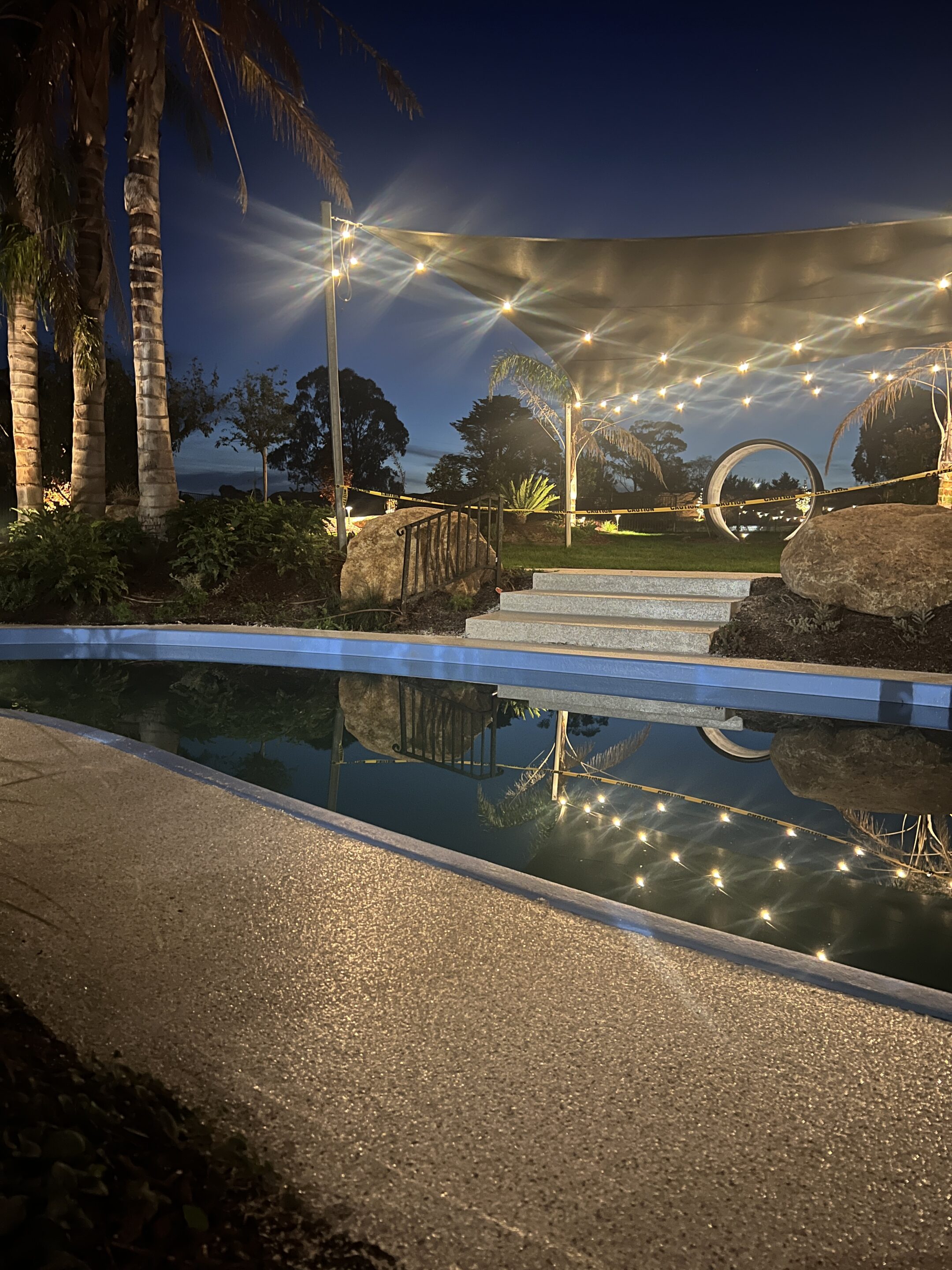 Somerville Garden Transformed: 100+ Lights on Existing Infrastructure — project detail