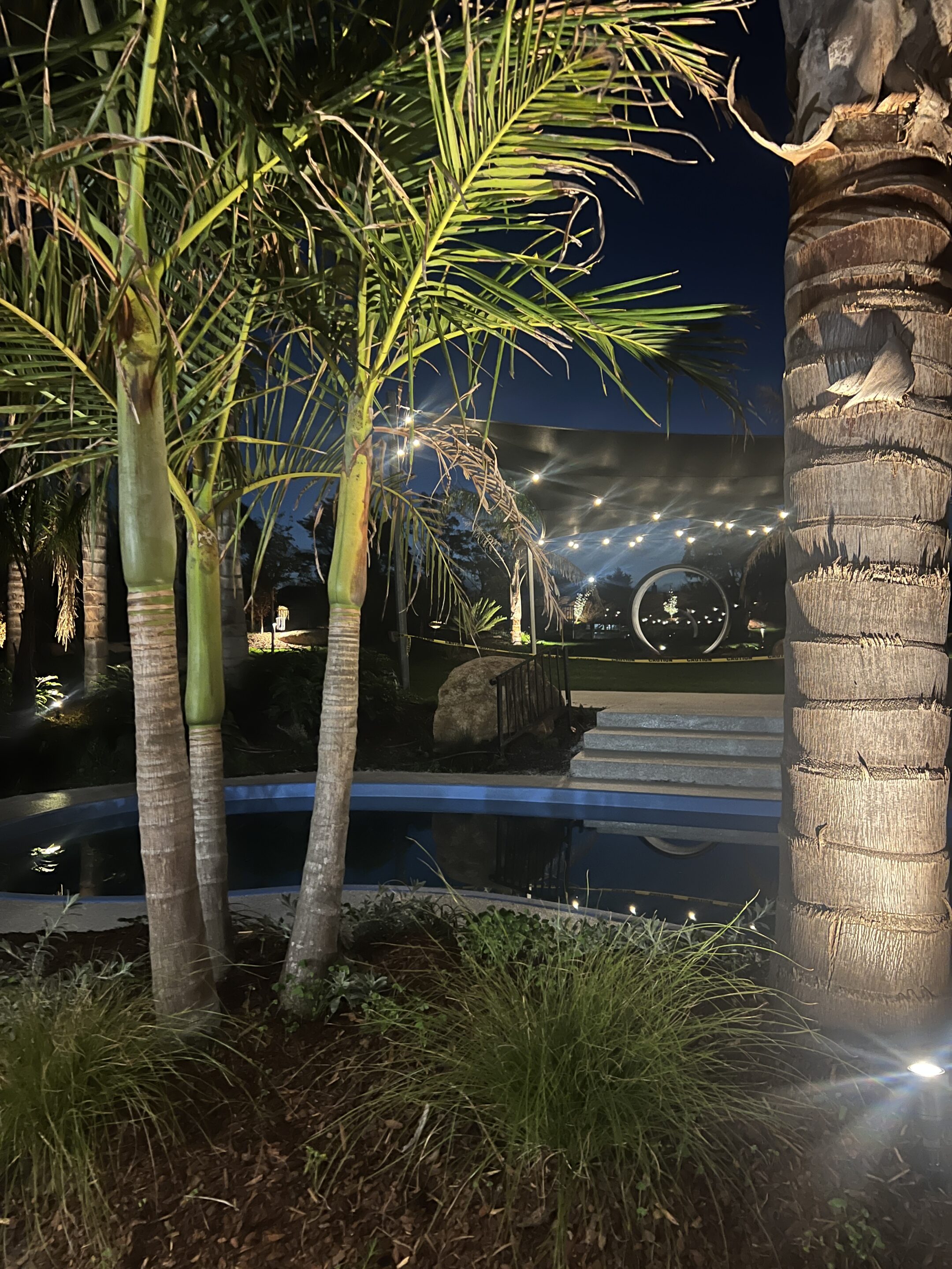 Somerville Garden Transformed: 100+ Lights on Existing Infrastructure — project detail