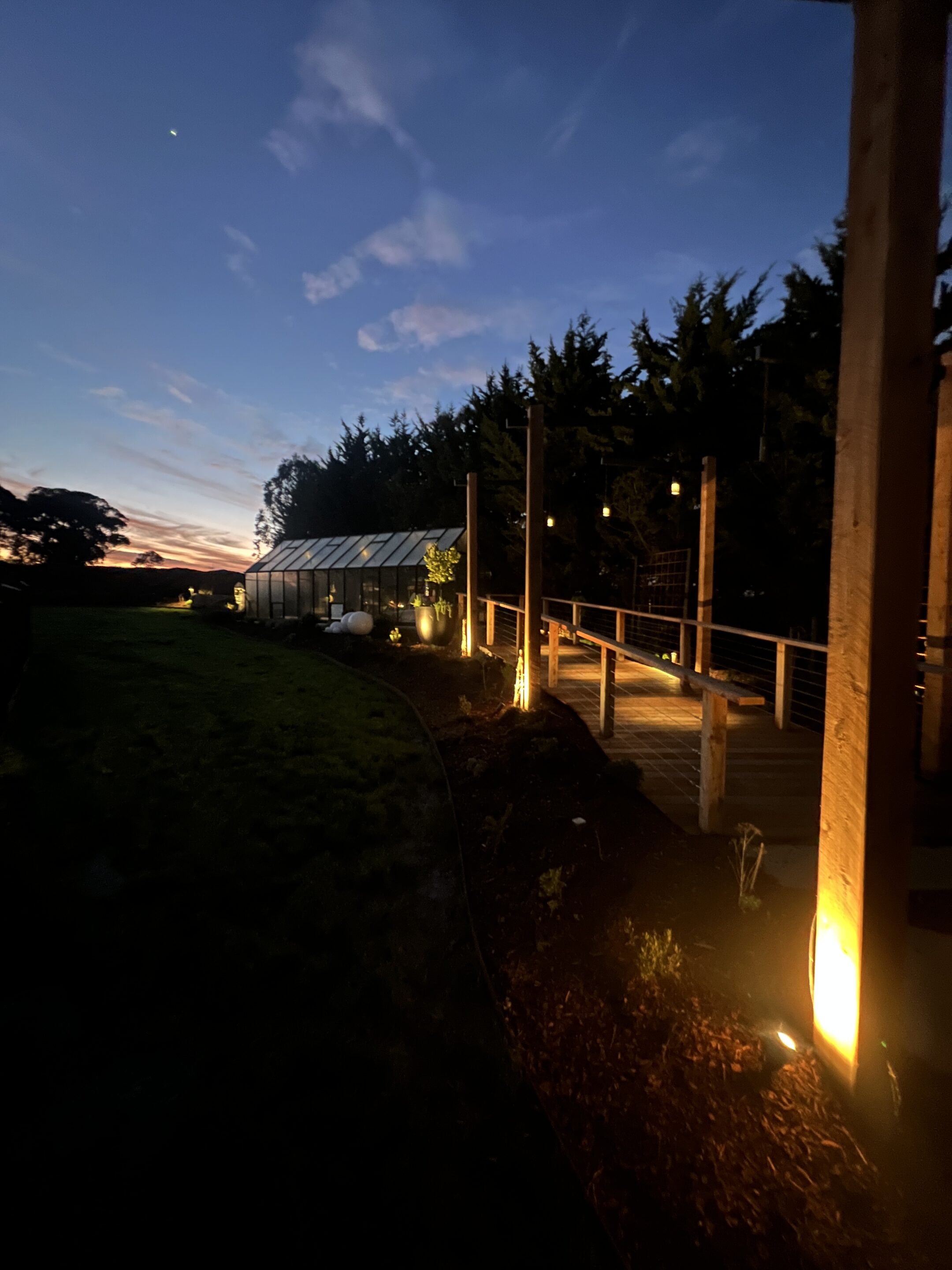 Somerville Garden Transformed: 100+ Lights on Existing Infrastructure — project detail